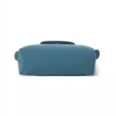 LONGCHAMP Le Pliage Green