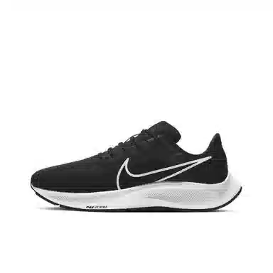 Nike Pegasus 38