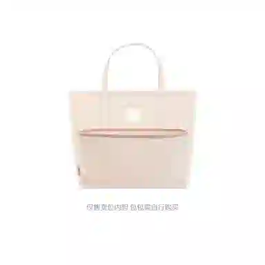 bagINBAG MCM Mini