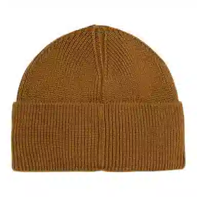 Polar Skate Co Beanie Camel