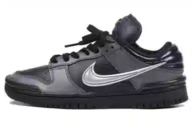 Nike Dunk ins