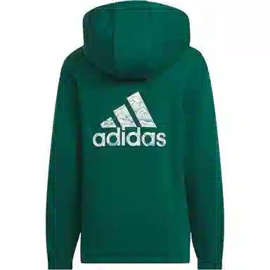 adidas CITY ESCAPE FW24 GRAPHIC CREW SWEATER