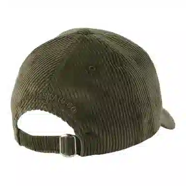 Polar Skate Co Cap Green