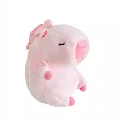 25cm35cm45cm70cm80cm