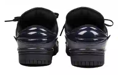 Nike Dunk ins
