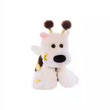 25cm