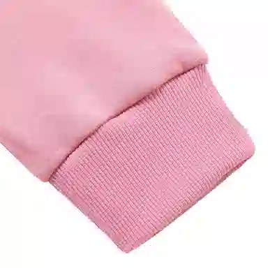 Le Coq Sportif Hoodie