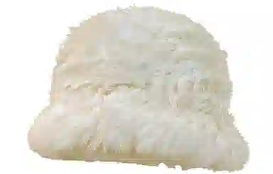 Cranta Komeia