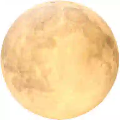 YuLong Lab 40cm60cm80cm