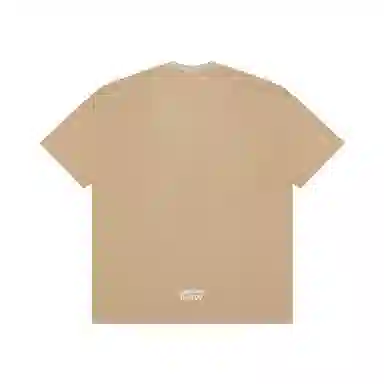 Aape T