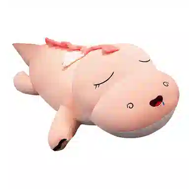 100cm140cm160cm230cm