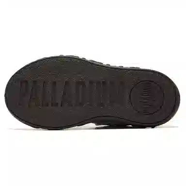 Palladium
