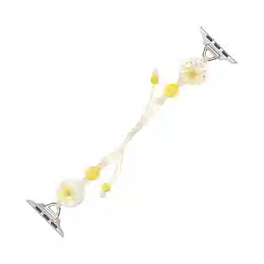 NCFCK Apple watchS9S8SES7S6S5S4S3