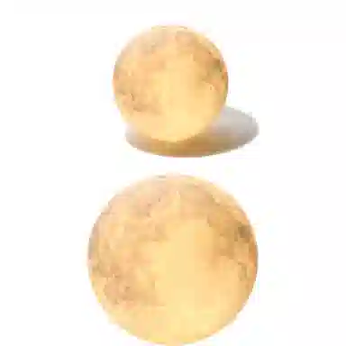 YuLong Lab 40cm60cm80cm