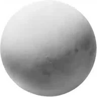 YuLong Lab 40cm60cm80cm