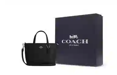 COACH City 15