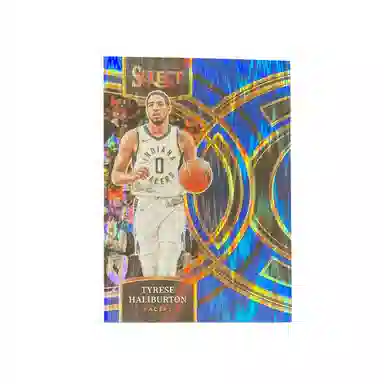 PANINI 2023-24 select 1199