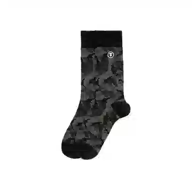 Aape 1
