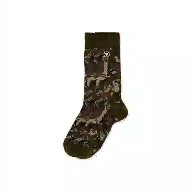 Aape 1