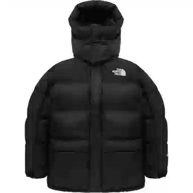 The North Face Logo Hoodie Down Jacket Black