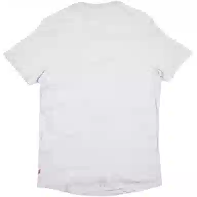 levis T