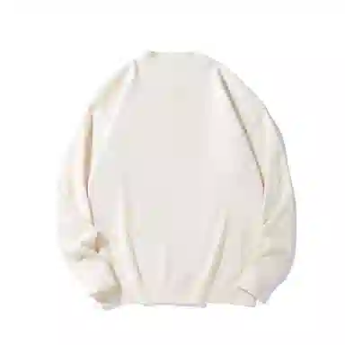 IE V