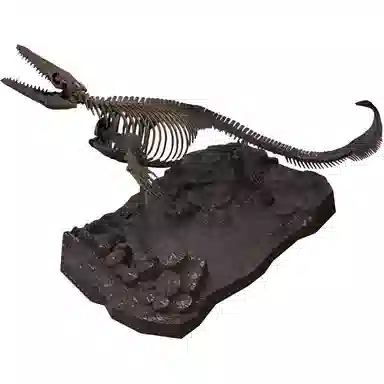 BANDAI Imaginary Skeleton