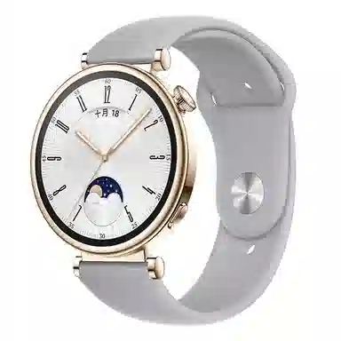 gt4gt5 41mmgt32watch4pro 21cm