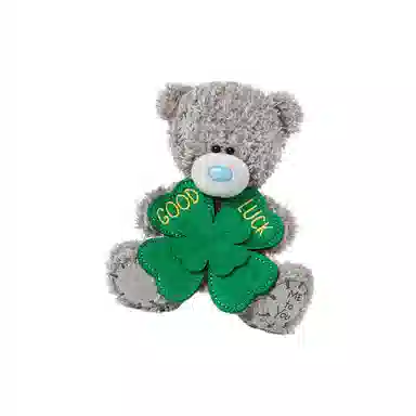 Me to You Tatty 14cm