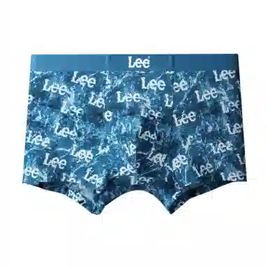 Lee 1