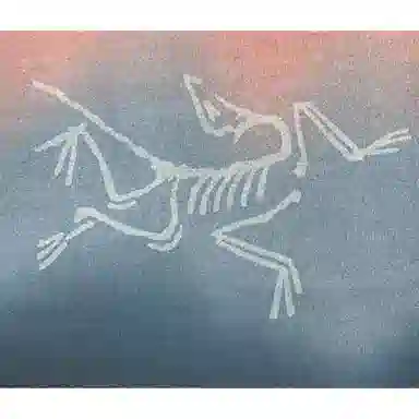 Arcteryx Kragg Cotton HeatmapT