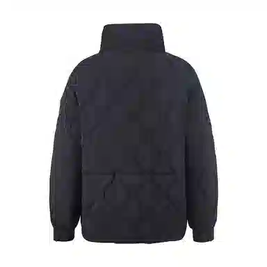 雅鹿 通勤立领拉链长袖轻薄短款小个子波浪绗线纯色羽绒服 女款