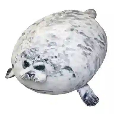 30cm40cm60cm80cm100cm