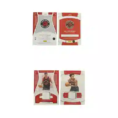 PANINI 2021-2260991299