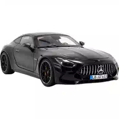 AMG GT63 NZG 118