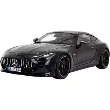 AMG GT63 NZG 118