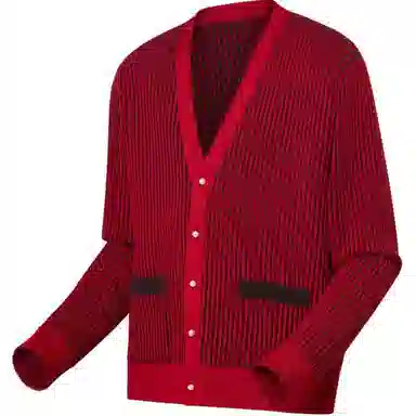 LOUIS VUITTON Park Seo Bo V