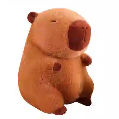 MENGMENGBUNNY 70cm100cm