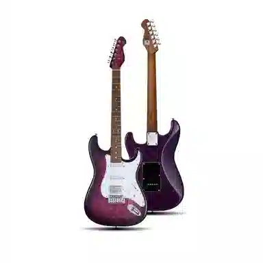 MOOER () MSC20 Pro 22