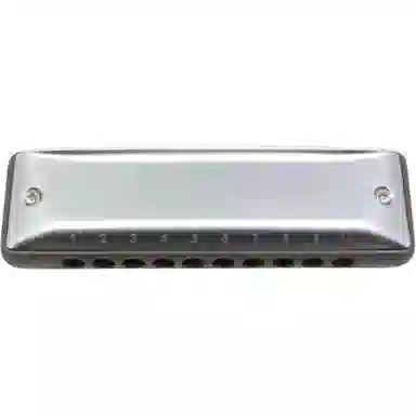 BOOGIEMAN ProReeds 10(Blues)