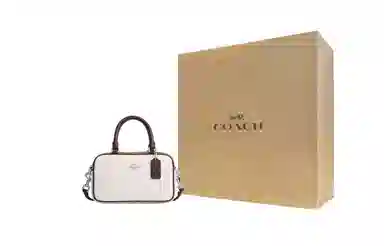 COACH Satchel 18