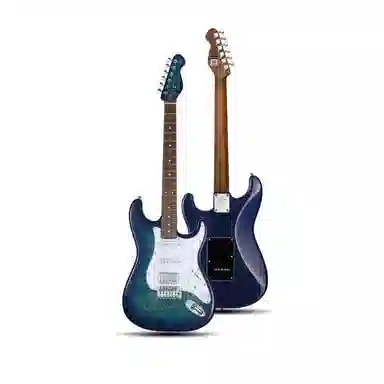 MOOER () MSC20 Pro 22