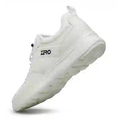 ZRO EPR