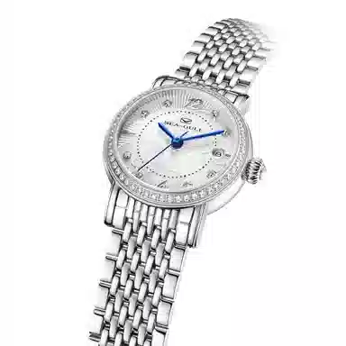 Sea-Gull 317.17.1074L