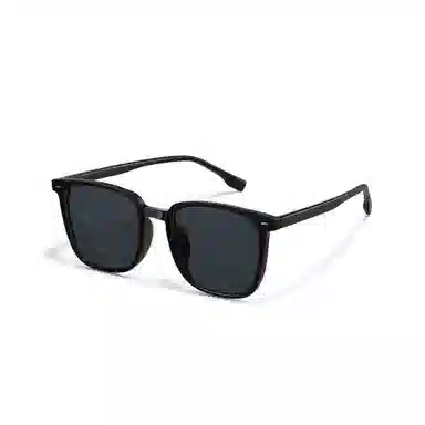 HELMER Sunglasses