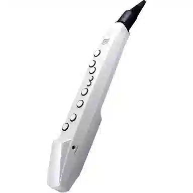 Roland AE01C " Aerophone