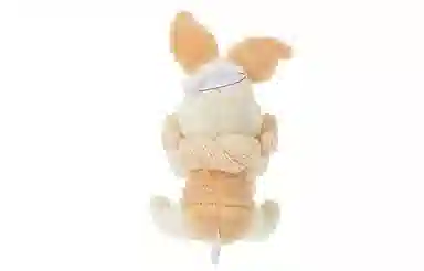 Disney 15.5cm