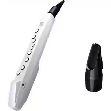 Roland AE01C " Aerophone