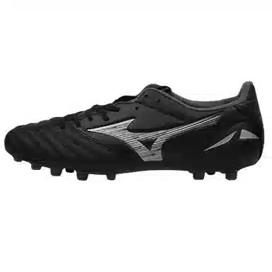Mizuno