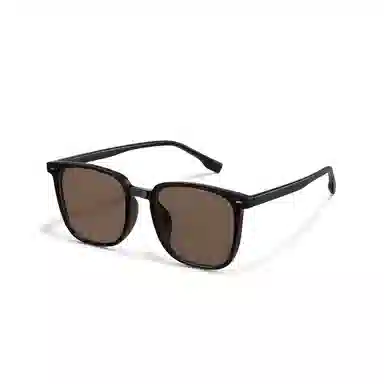 HELMER Sunglasses